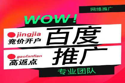 百度SEO推广策略调整：一个成功的调整案例